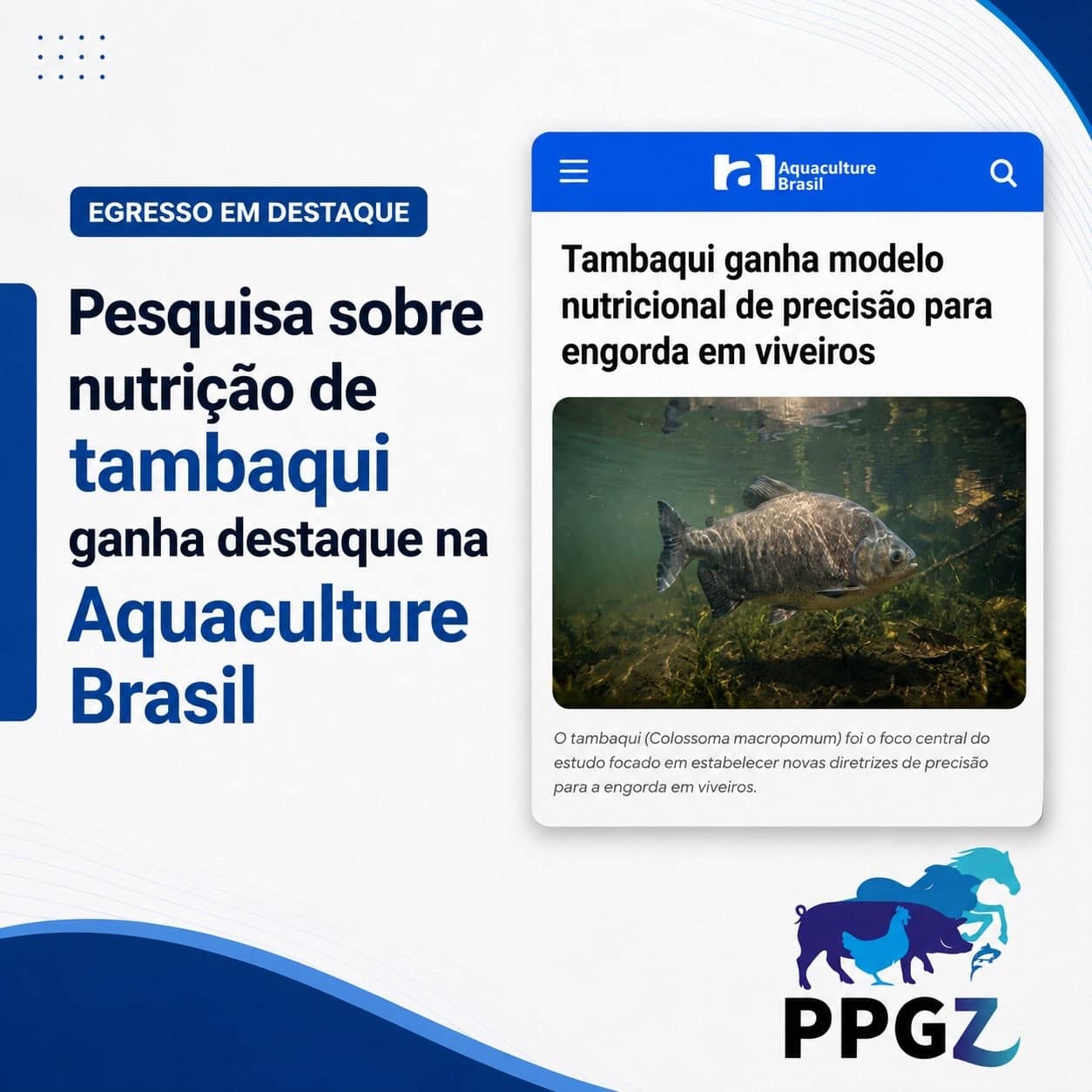 Imagem da publicação: Aluno Especial PPGZ/UFG: inscrições para disciplinas de mestrado e doutorado
